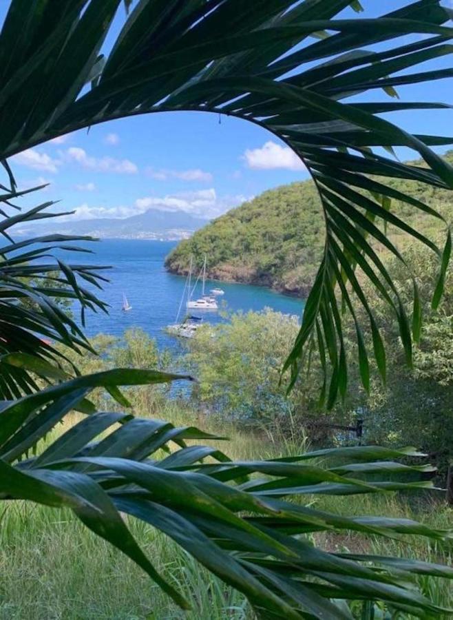 Studio Sainte Anne 2Mn A Pieds De La Plage ,Possibilite Location De Voiture Bagian luar foto
